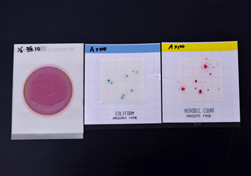フィルム培地による細菌検査イメージ