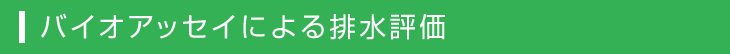 バイオアッセイによる排水評価