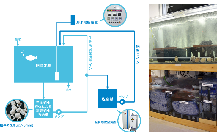 KGCの技術とソリューションイメージ