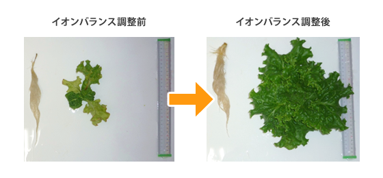 イオンバランス調整前・調整後